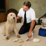 Tips And Tricks For The Best Residential Carpet Cleaning