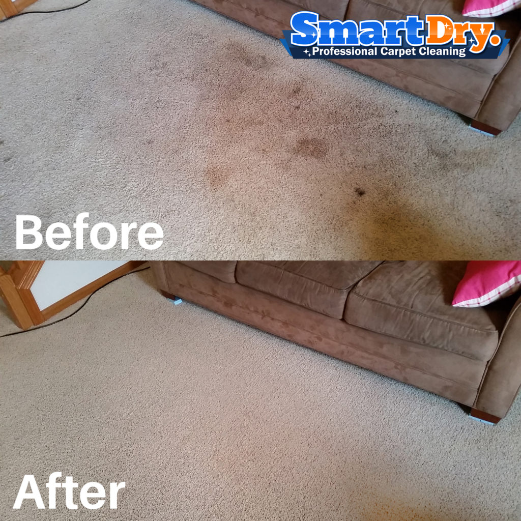 🥇Spot and Stain Removal San Diego, Carpet Stain Cleaners 🥇Smart Dry