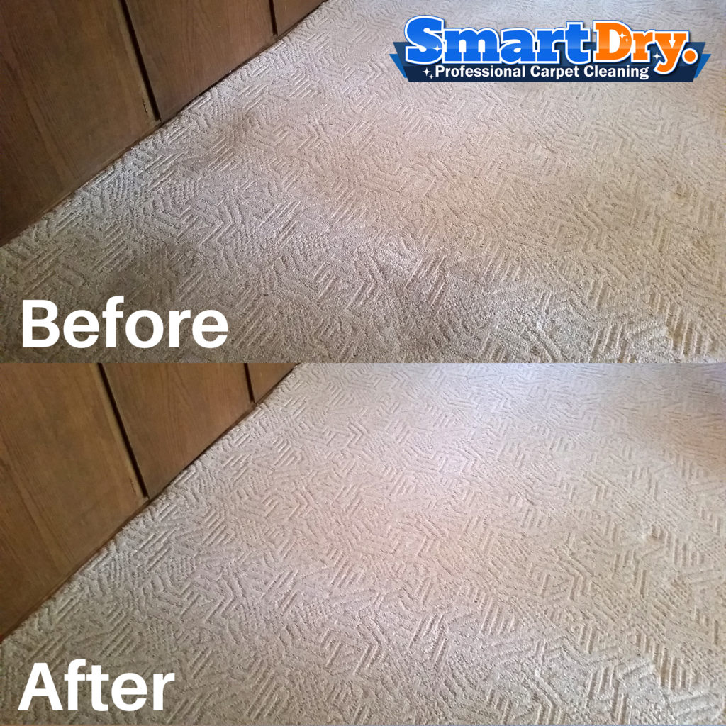 🥇Low Moisture Carpet Cleaning San Diego, Dry Carpet Cleaners 🥇Smart