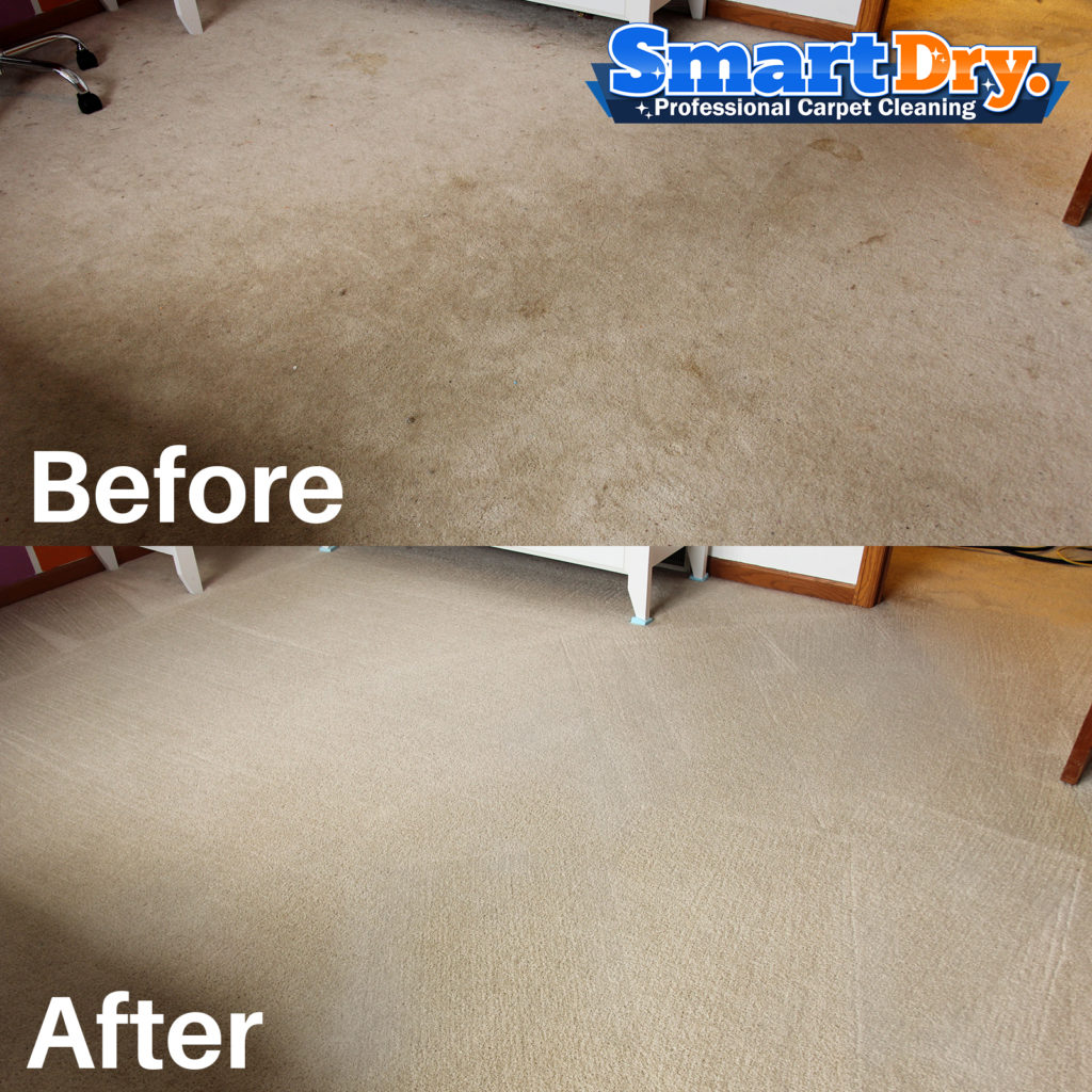 How Dry Carpet Cleaning can Save You Time, Stress, and Money.