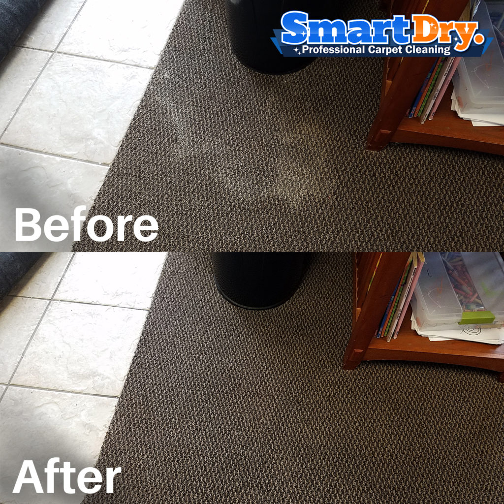 Steam Carpet Cleaning San Diego Powerful Sanitizing Truck Mount Clean