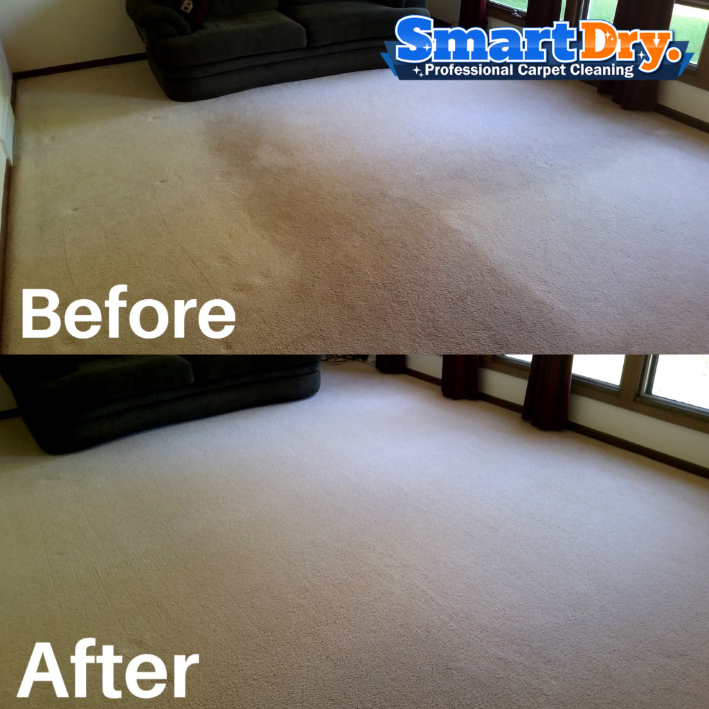  Green Carpet Cleaning San Diego Eco Friendly Non Toxic Smart Dry 