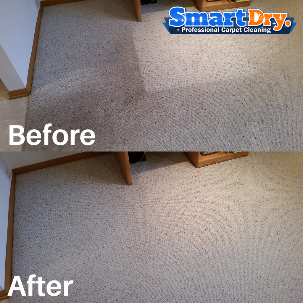 🥇Professional Carpet Cleaning San Diego, Best Carpet Cleaners 🥇Smart