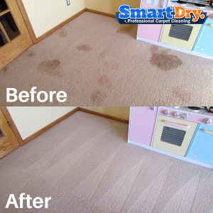 Affordable-Carpet-Cleaning-Service-San-Diego-Carpet-Cleaners