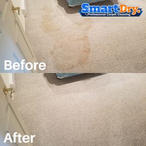 Affordable-Carpet-Cleaning-Service-San-Diego