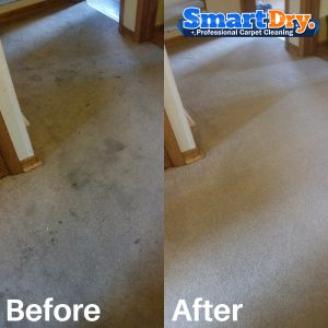 Apartment-Carpet-Cleaning-Service-San-Diego-Carpet-Cleaning-Services