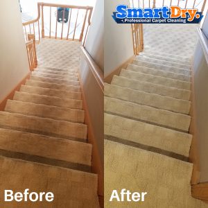 Best-Carpet-Cleaning-San-Diego-Commercial-Carpet-Cleaning