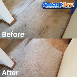 Best-Carpet-Cleaning-Service-San-Diego-Carpet-Cleaning-