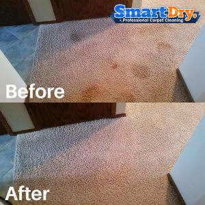 Bonded-Carpet-Cleaning-Service-San-Diego-Carpet-Cleaning