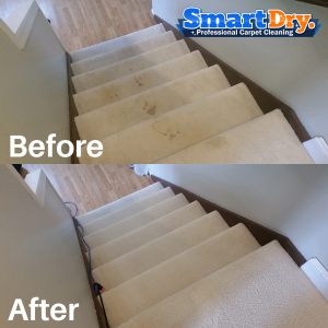 Business-Carpet-Cleaning-Service-San-Diego