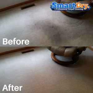 Carpet-Cleaning-Companies-San-Diego-Professional-Carpet-Cleaning