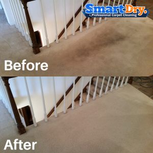 Carpet-Cleaning-Company-San-Diego-Best-Carpet-Cleaners