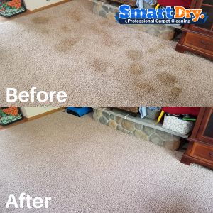 Carpet-Cleaning-Deals-San-Diego-Area-Rug-Cleaning