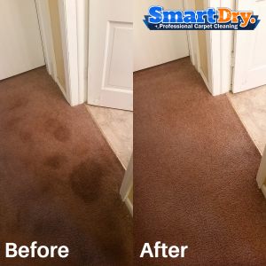 Carpet-Cleaning-Product-San-Diego