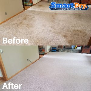 Carpet-Cleaning-Service-Cost-San-Diego-Rug-Cleaning