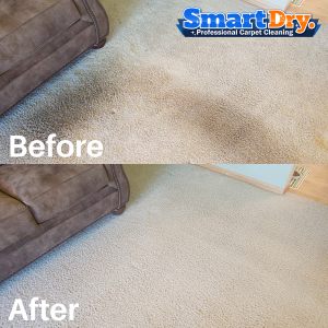 Carpet-Cleaning-Service-Method-San-Diego