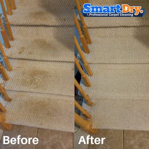 Carpet-Cleaning-Service-Price-San-Diego