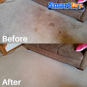 Carpet-Cleaning-Service-Prices-San-Diego