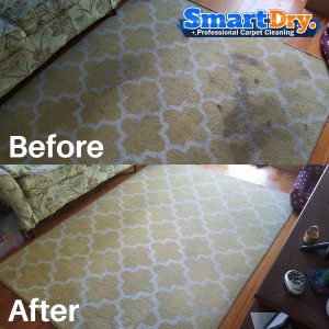 Carpet-Cleaning-Service-Quote-San-Diego