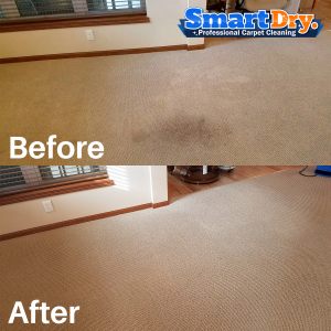 Carpet-Cleaning-Service-Quotes-San-Diego