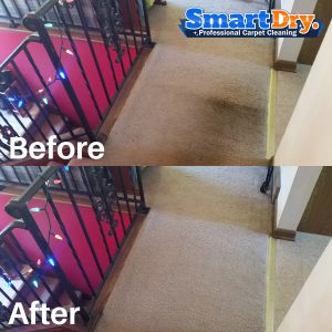 Carpet-Cleaning-Service-Rate-San-Diego