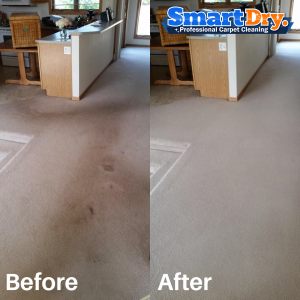 Carpet-Cleaning-Service-Rates-San-Diego