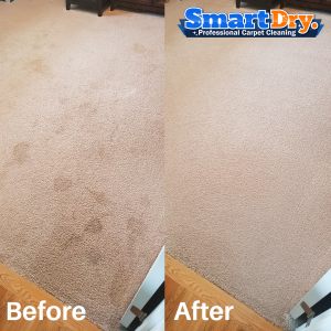 Carpet-Cleaning-Service-Rental-San-Diego