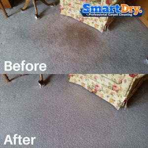 Carpet-Cleaning-Service-Reviews-San-Diego