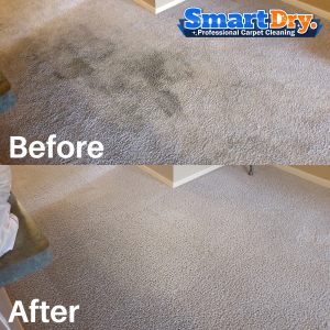 Carpet-Cleaning-Service-San-Diego-Dry-Carpet-Cleaning