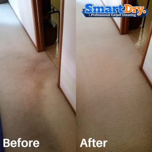 Carpet-Cleaning-Service-Specials-San-Diego