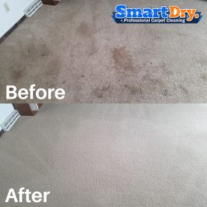 Carpet-Cleaning-Service-Supplies-San-Diego