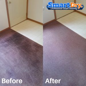 Carpet-Cleaning-Services-San-Diego