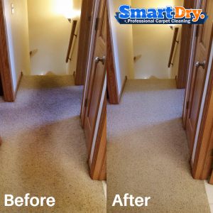 Carpet-Cleaning-Solution-San-Diego