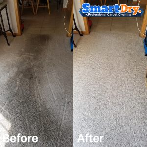 Commercial-Carpet-Cleaning-Service-Service-San-Diego