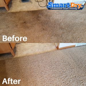 Commercial-Office-Carpet-Cleaning-Service-San-Diego