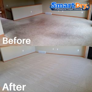 Condo-Carpet-Cleaning-Service-San-Diego-Rug-Cleaning