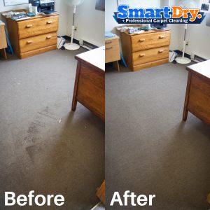 Condominium-Carpet-Cleaning-Service-San-Diego-Rug-Cleaners