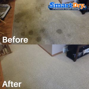 Couch-Upholstery-Cleaning-Service-San-Diego