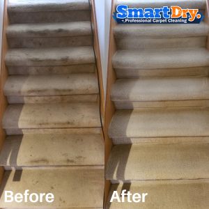 Fast-Carpet-Cleaning-Service-San-Diego-Tile-Cleaning