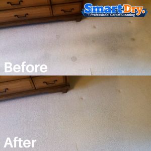 Fresh-Carpet-Cleaning-Service-San-Diego-Upholstery-Cleaning