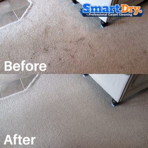 Green-Carpet-Cleaning-Service-San-Diego-Upholstery-Cleaning