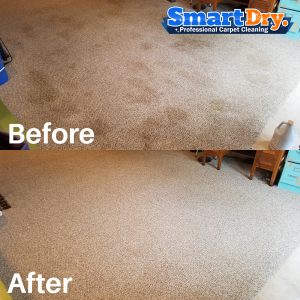 High-Rise-Carpet-Cleaning-Service-San-Diego-Low-Moisture-Carpet-Cleaning