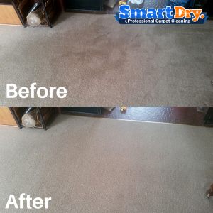 House-Carpet-Cleaning-Service-San-Diego-Dry-Carpet-Cleaning