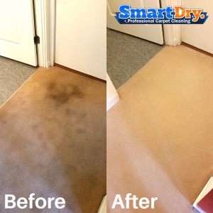 Licensed-Carpet-Cleaning-Service-San-Diego