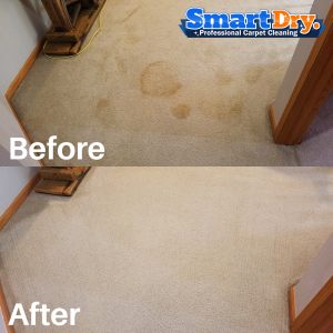 Machine-Carpet-Cleaning-Service-San-Diego