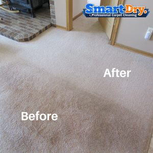 Maid-service-Carpet-Cleaning-Service-San-Diego