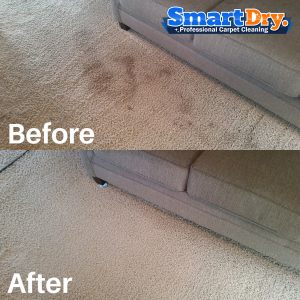 Methods-Carpet-Cleaning-Service-San-Diego