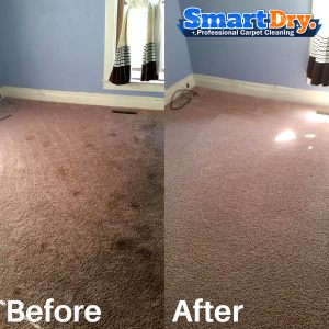 Move-Carpet-Cleaning-Service-San-Diego