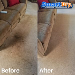 Move-Out-Carpet-Cleaning-Service-San-Diego