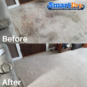 Moving-Carpet-Cleaning-Service-San-Diego